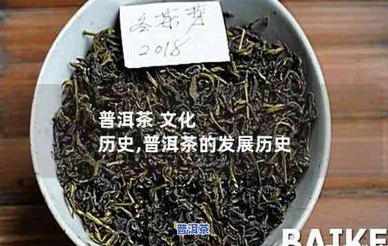 普洱茶的如今发展历程简述，普洱茶：从古至今的发展历程