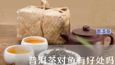 喝了普洱茶可以吃吗-喝了普洱茶可以吃吗女生