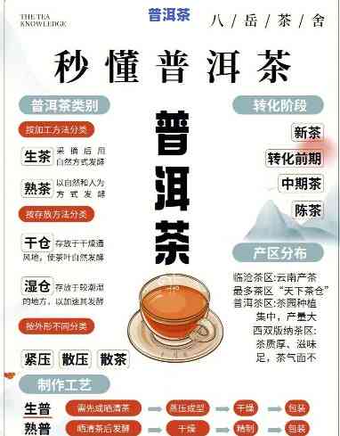 普洱茶名字的来历图文，揭秘普洱茶名字的由来：一幅图带你熟悉其背后的故事