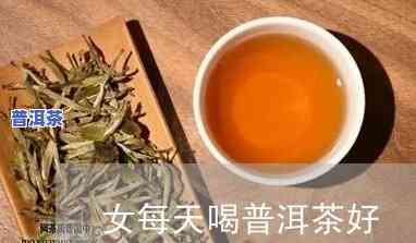 冬季普洱茶适合女生天天饮用吗？每日更佳饮用量是多少？