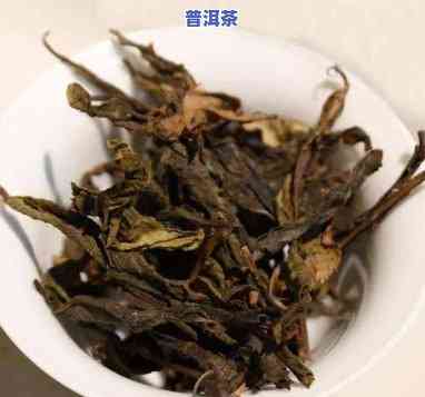 探究普洱茶黑条的特点与功效