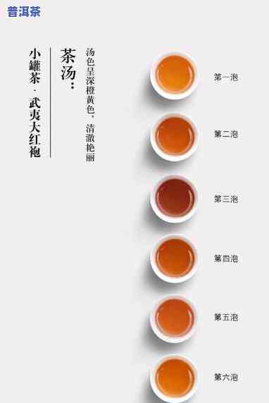 探究小罐茶普洱茶的功效与作用及其禁忌