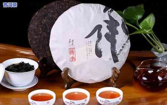 精品普洱茶特点是什么-精品普洱茶特点是什么呢