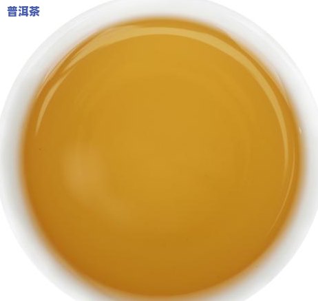 普洱茶什么时间上市？求解！