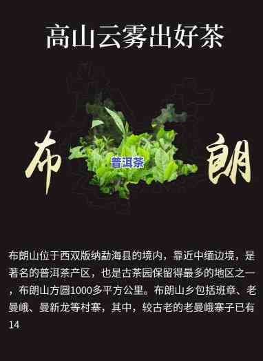 西双版纳布朗情普洱-西双版纳布朗山普洱茶价格