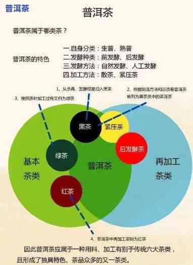 普洱茶的正确打开方法图片：步骤详解与价格对比