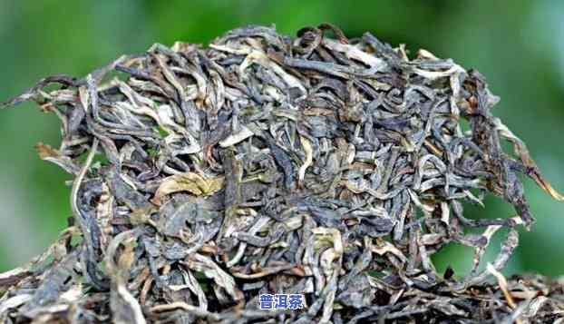 姑娘寨普洱茶，探秘云南姑娘寨：品味特别口感的普洱茶