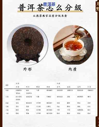 熟普洱茶分级标准：从低到高详细介绍