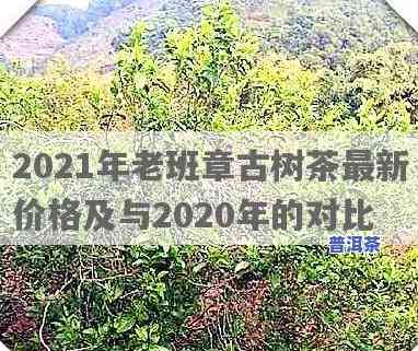 2020年、2021年老班章茶王价格及树价达68万