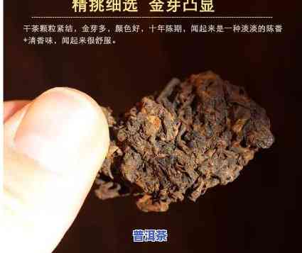 一品堂古树普洱老茶头，【一品堂】古树普洱 老茶头 10颗独立小包 复古老茶头 滇红熟茶 醇厚耐泡 纯料压制 250g