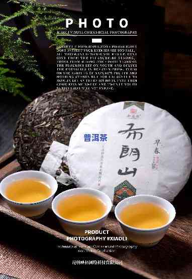 布朗山普洱茶新品预告-布朗山普洱茶特点价格