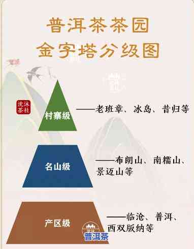 云南普洱茶知识讲解，深入解析：云南普洱茶的产地、种类和冲泡技巧