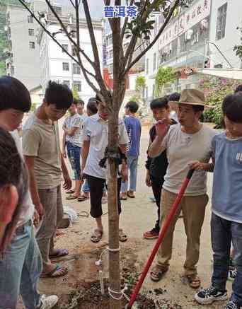 发展才是硬道理的由来，探寻'发展才是硬道理'背后的起源与内涵