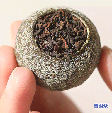 小青柑普洱茶属于哪种茶类？详解其种类归属