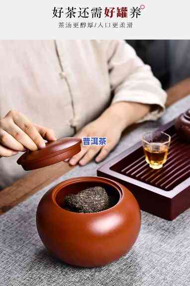 普洱醒茶罐怎么挑选，新手必看：怎样挑选合适的普洱醒茶罐？