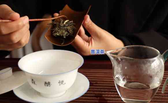 普洱熟茶醒茶用什么装更好？详细解析更佳容器选择