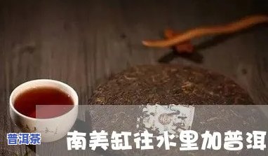 南美缸可以放普洱茶吗，探讨南美缸是不是适合存放普洱茶？