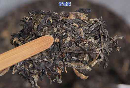 哪些普洱茶不用转化茶-哪些普洱茶不用转化茶叶