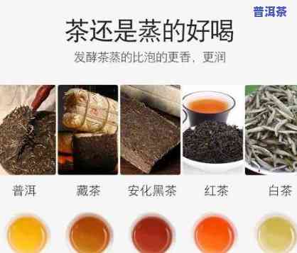 散装普洱茶可以蒸茶吗怎么做，散装普洱茶也能美味，快来学习怎样正确蒸茶！