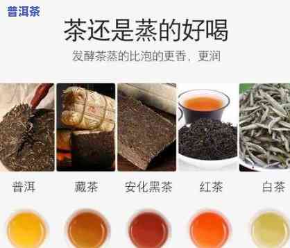 散装普洱茶可以蒸茶吗-散装普洱茶可以蒸茶吗怎么做