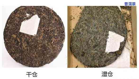 普洱茶干仓与湿仓价格比较：客户观点分享