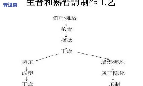 普洱出兰花香的工艺解析：揭示其制作方法与特点