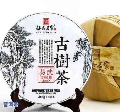 普洱茶取名简约大气，品味优雅：普洱茶的简约大气之选