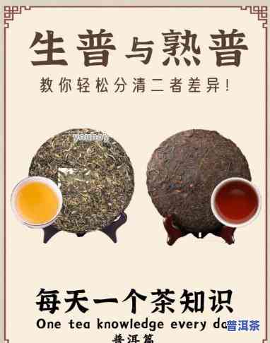 普洱茶为什么那么红？上揭秘起因