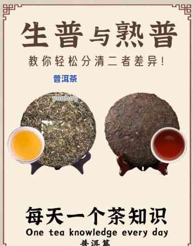 普洱茶叶为什么会变红？探究其起因与作用