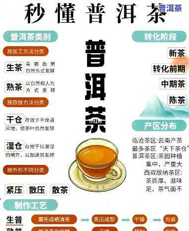 塔哥说普洱茶是什么？详解视频解析