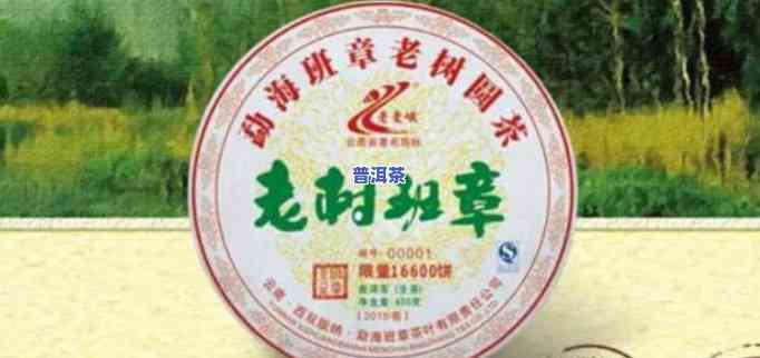 天弘老班章怎么样？品鉴天弘老班章茶及天弘2017年百年老班章价格