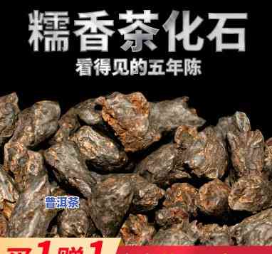 普洱化石茶：制作方法与口感提升技巧全解析