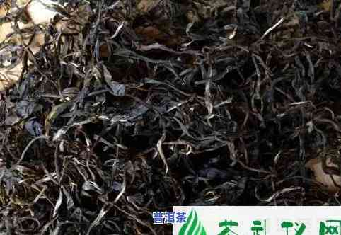 2004年云南普洱茶普秀景行，探寻普洱茶魅力：2004年云南普洱茶普秀景行的传奇故事