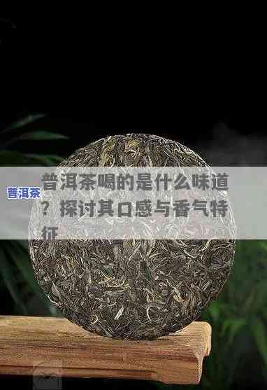 探究普洱茶不同味道特征及其区别