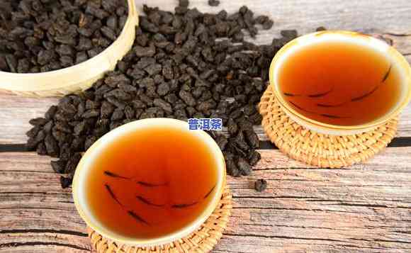 普洱茶化石是什么茶种-普洱茶化石是什么茶种类