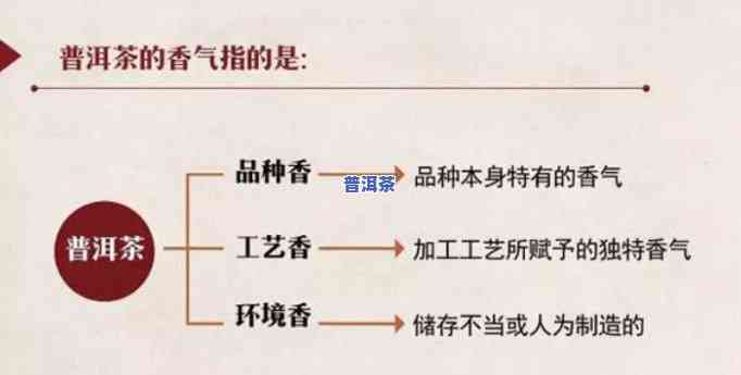 普洱茶的味道：种类、特点与品尝指南