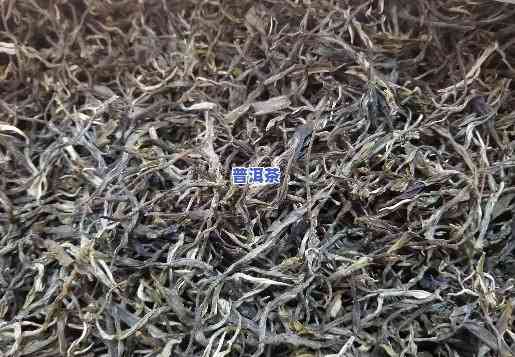 普洱茶一饼300元算好吗，探讨普洱茶一饼300元的价格是不是合理？