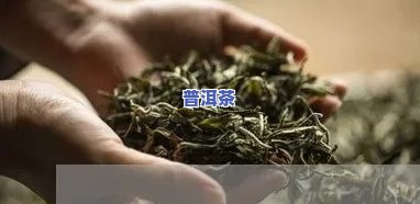 普洱茶降糖原理和作用-普洱茶降糖原理和作用是什么