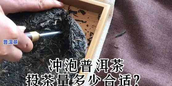 泡普洱茶一般用95℃以上的水温冲泡，「泡普洱茶」要用多少度的水？关键在于这个数字