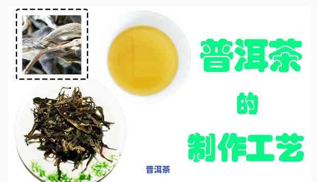 怎样做普洱茶，学习制作美味普洱茶的步骤与技巧