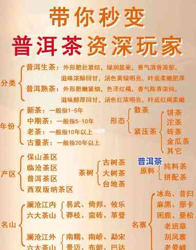 关于普洱茶的论文1000字到2000字，深度解析：普洱茶的历史、制作工艺与品鉴方法——一份1000-2000字的全面论文