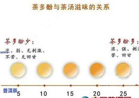 普洱熟茶中茶多酚含量为何高于青茶?