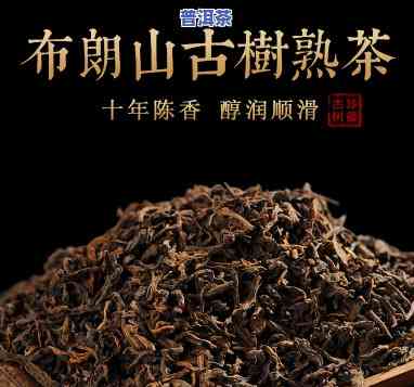 布朗普洱熟茶价格2009年，回顾2009年：布朗普洱熟茶价格走势分析