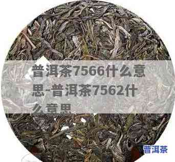 普洱茶7546是什么意思，解答疑惑：普洱茶7546的含义是什么？