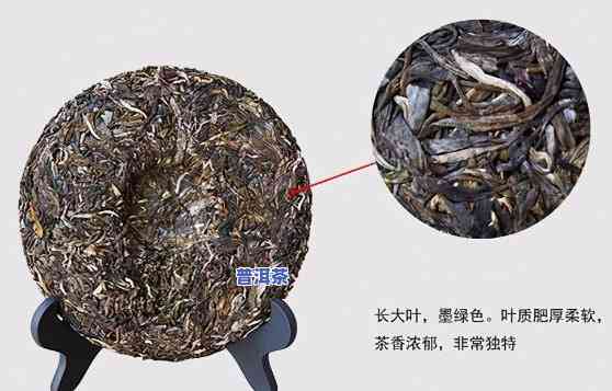 普洱茶7546是什么意思，解答疑惑：普洱茶7546的含义是什么？