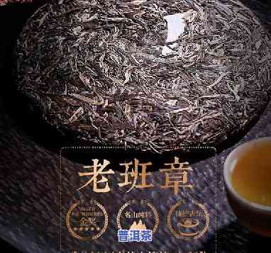 赞江南古树老班章茶的美句分享：品鉴韵味独特的古树老班章