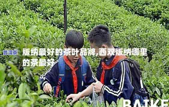 西双版纳去哪里买茶叶，西双版纳更佳茶叶购买地推荐