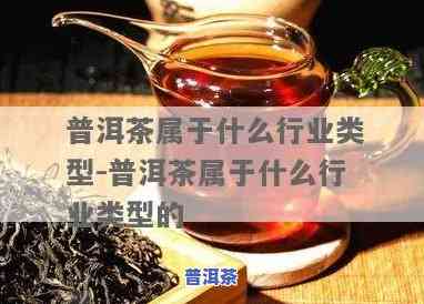 做生意都喜欢喝普洱茶吗，探讨商业人士的饮品偏好：普洱茶是不是是做生意人的首选？