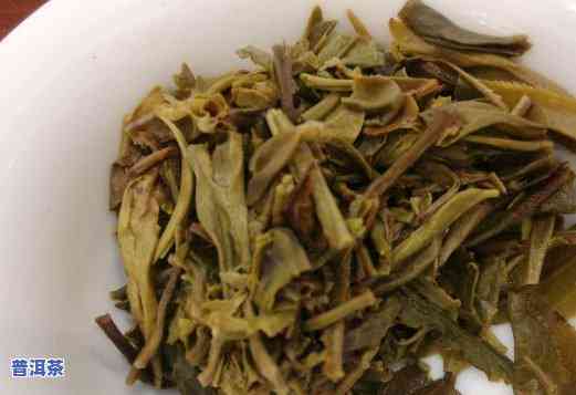 永明茶厂易武：金牙野生大树茶正山特制