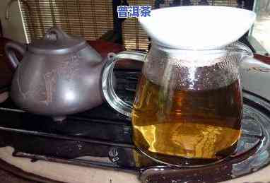 普洱茶大壶泡什么茶好喝，探索美味：普洱茶大壶适合冲泡哪些茶叶？